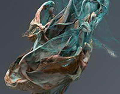 На чужой каравай рот не разевай: китайский завод в Жетысу оштрафовали на 264 млн тенге