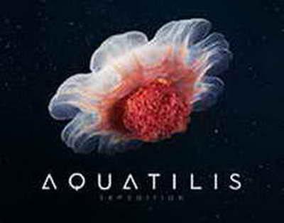 Балаева журналист Ботагөз Омарованың қамауға алынуына қатысты пікір білдірді