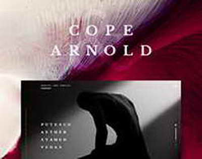 Daha bir ölkə savaşa girdi: Dünyanın yolu dəyişir